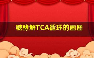 糖酵解、TCA循环的画图