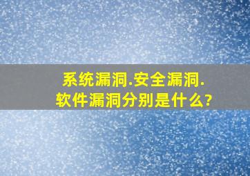 系统漏洞.安全漏洞.软件漏洞分别是什么?