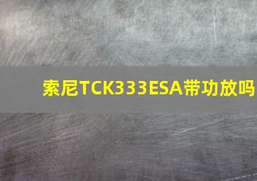 索尼TCK333ESA带功放吗(