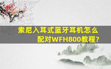 索尼入耳式蓝牙耳机怎么配对WFH800教程?