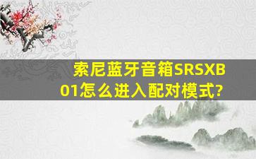 索尼蓝牙音箱SRSXB01怎么进入配对模式?