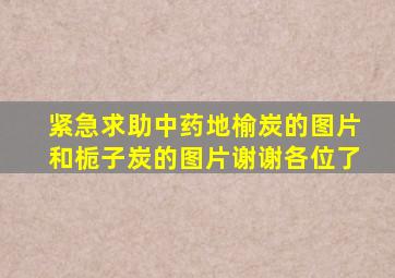 紧急求助,中药地榆炭的图片和栀子炭的图片,谢谢各位了