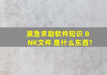 紧急求助软件知识 BNK文件 是什么东西?