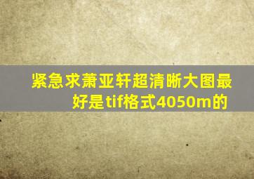 紧急求萧亚轩超清晰大图,最好是tif格式4050m的