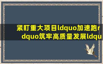 紧盯重大项目“加速跑”,筑牢高质量发展“硬支撑”!