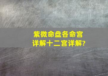 紫微命盘各命宫详解,十二宫详解?