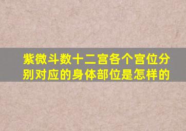 紫微斗数十二宫各个宫位分别对应的身体部位是怎样的