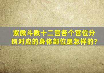 紫微斗数十二宫各个宫位分别对应的身体部位是怎样的?