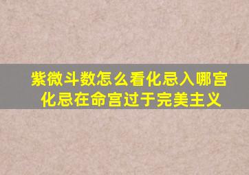 紫微斗数怎么看化忌入哪宫 化忌在命宫过于完美主义