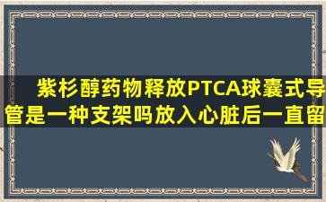 紫杉醇药物释放PTCA球囊式导管是一种支架吗,放入心脏后,一直留在...