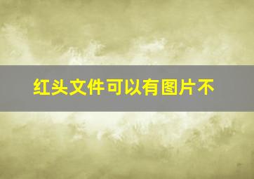 红头文件可以有图片不