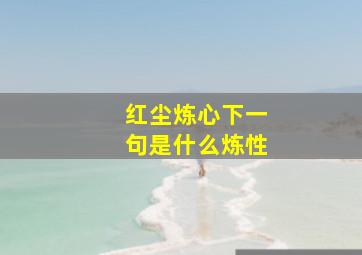 红尘炼心下一句是什么炼性