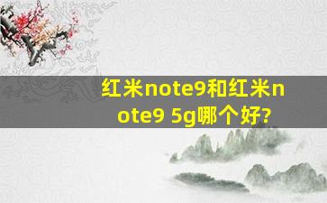 红米note9和红米note9 5g哪个好?