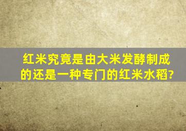 红米究竟是由大米发酵制成的还是一种专门的红米水稻?