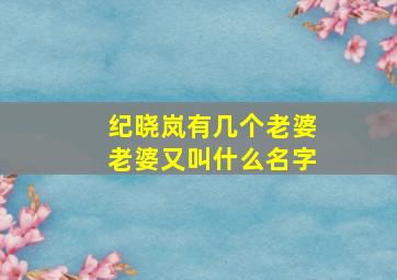 纪晓岚有几个老婆老婆又叫什么名字