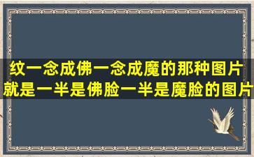 纹一念成佛一念成魔的那种图片 就是一半是佛脸一半是魔脸的图片 会...