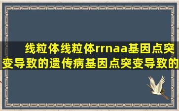 线粒体线粒体rrnaa基因点突变导致的遗传病基因点突变导致的遗传病