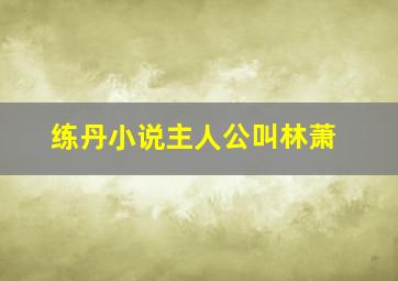 练丹小说主人公叫林萧