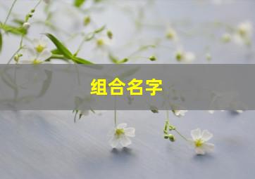 组合名字