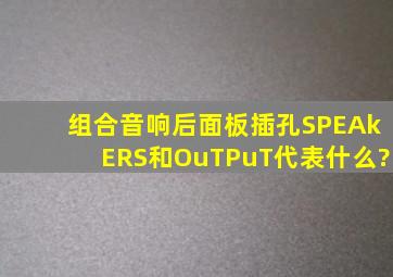 组合音响后面板插孔SPEAkERS和OuTPuT代表什么?