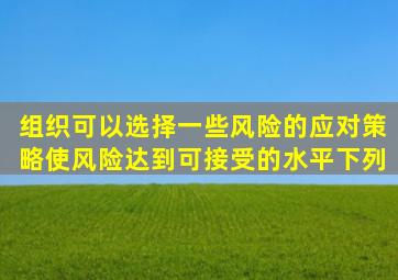 组织可以选择一些风险的应对策略使风险达到可接受的水平。下列