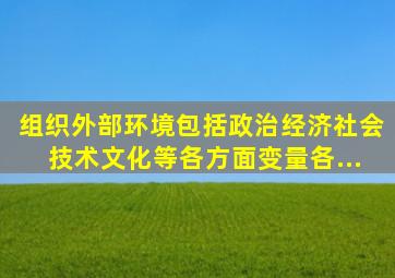 组织外部环境包括政治、经济、社会、技术、文化等各方面变量,各...