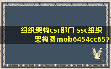 组织架构csr部门 ssc组织架构图mob6454cc6575fa的技术博客