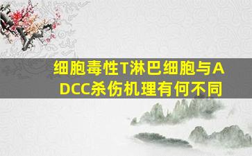 细胞毒性T淋巴细胞与ADCC杀伤机理有何不同