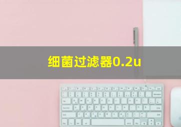 细菌过滤器0.2u