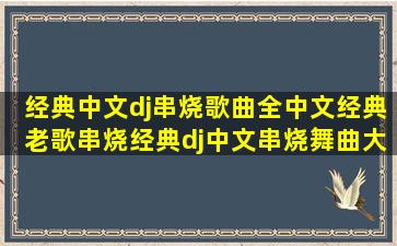 经典中文dj串烧歌曲,全中文经典老歌串烧,经典dj中文串烧舞曲大全