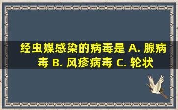 经虫媒感染的病毒是 A. 腺病毒 B. 风疹病毒 C. 轮状病毒 D. 狂犬...