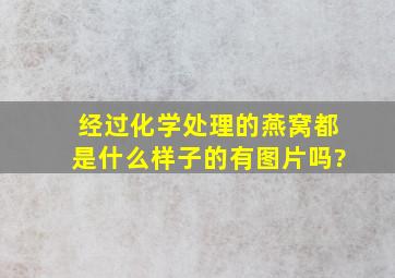 经过化学处理的燕窝都是什么样子的,有图片吗?