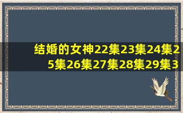 结婚的女神22集23集24集25集26集27集28集29集30集31集32集(第五...