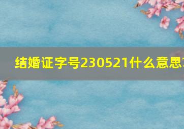 结婚证字号230521什么意思?