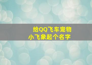 给QQ飞车宠物小飞象起个名字