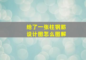 给了一张柱钢筋设计图怎么图解