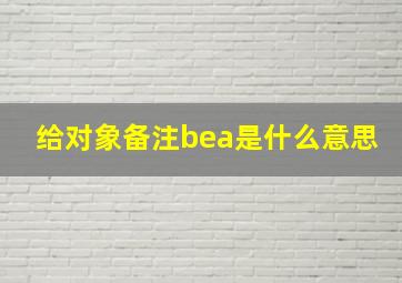 给对象备注bea是什么意思(