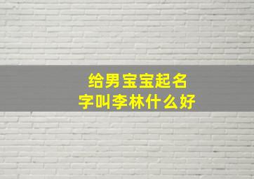 给男宝宝起名字叫李林什么好