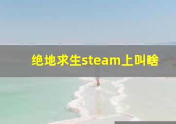 绝地求生steam上叫啥