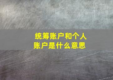 统筹账户和个人账户是什么意思 