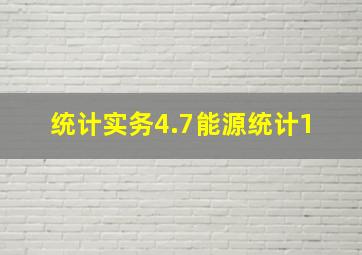 统计实务4.7能源统计1 