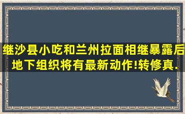 继沙县小吃和兰州拉面相继暴露后,地下组织将有最新动作!【转】【修真...