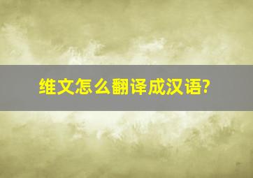 维文怎么翻译成汉语?