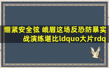 绷紧安全弦 峨眉这场反恐防暴实战演练堪比“大片”