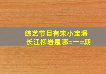 综艺节目有宋小宝潘长江柳岩是哪=一=期