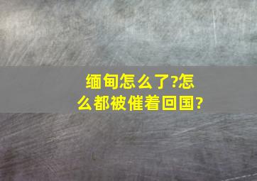 缅甸怎么了?怎么都被催着回国?