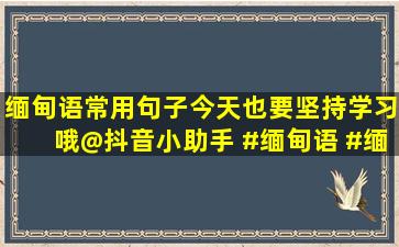 缅甸语常用句子,今天也要坚持学习哦@抖音小助手 #缅甸语 #缅甸...