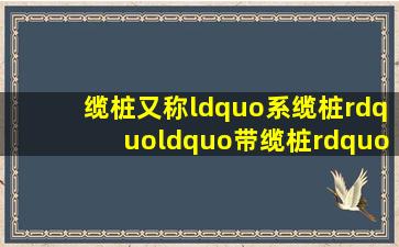 缆桩,又称“系缆桩”,“带缆桩”。指固定在甲板上或码头边用以系揽...