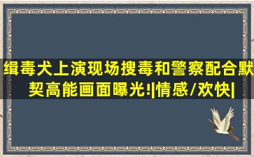 缉毒犬上演现场搜毒,和警察配合默契,高能画面曝光!|情感/欢快|曲风/...