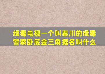 缉毒电视一个叫秦川的缉毒警察卧底金三角据名叫什么